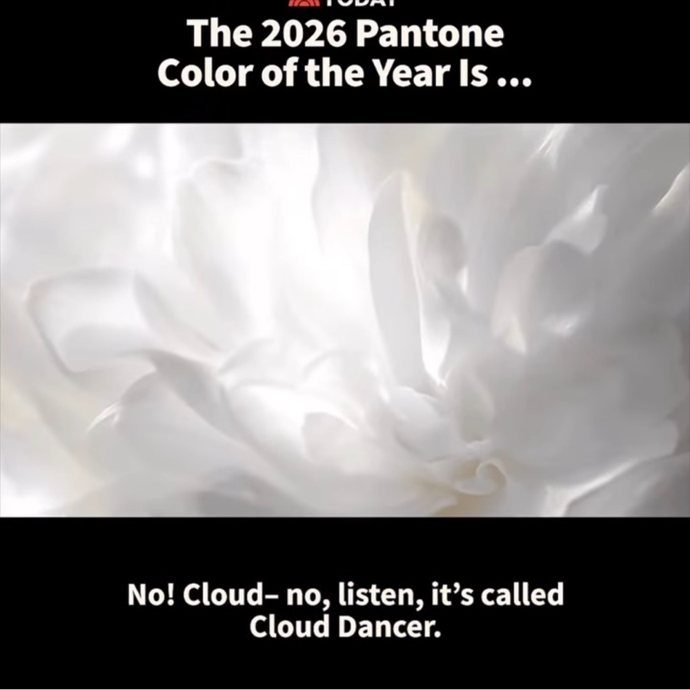 PANETONE COLOR FOR 2026 IS “CLOUD DANCER” A BILOWY BALANCED WHITE